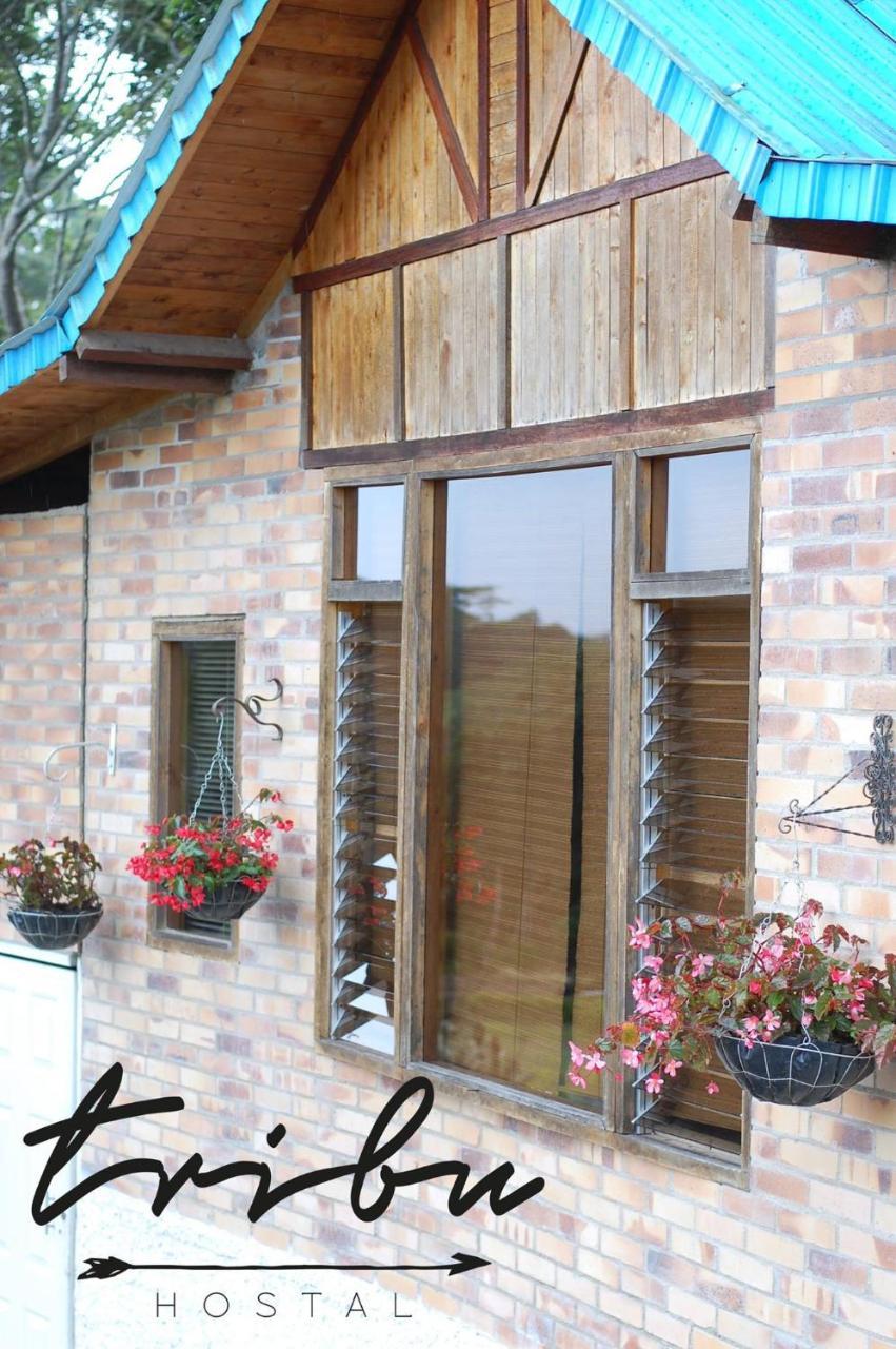 Tribu Ecohostal Los Santos  Exterior photo